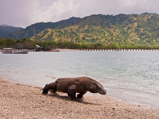 Indonesia Cultural and History Tour 10Days/9Nights
