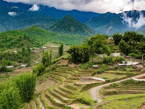 Stunning Vistas Cycling Tour